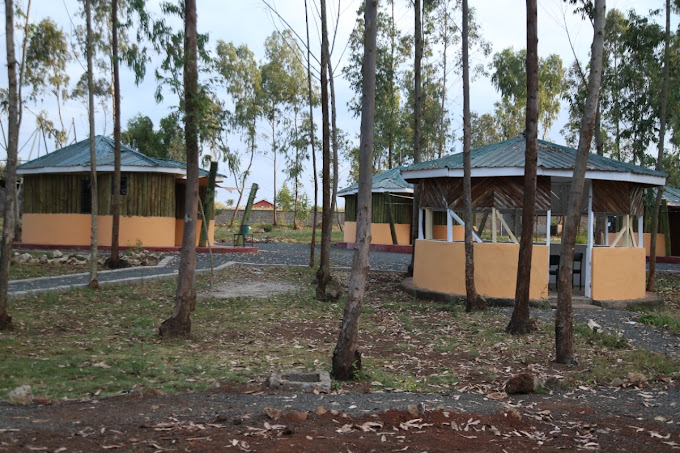 Gears Park Kabati