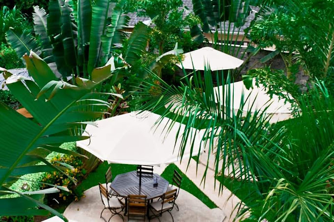 Palm Tree Gardens