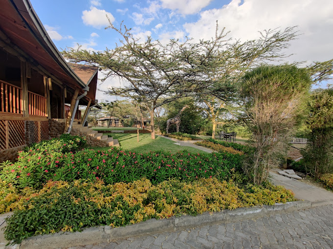 Kambi Mstuni Resort