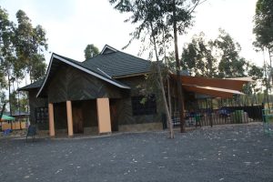 Gears Park Kabati