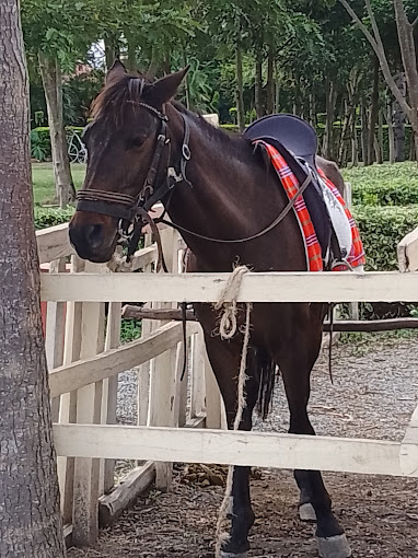 Fred’s Ranch and Resort