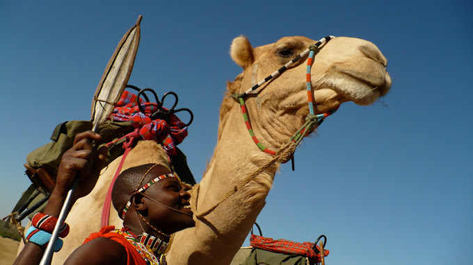 Tumaren Camp / Karisia Walking Safaris
