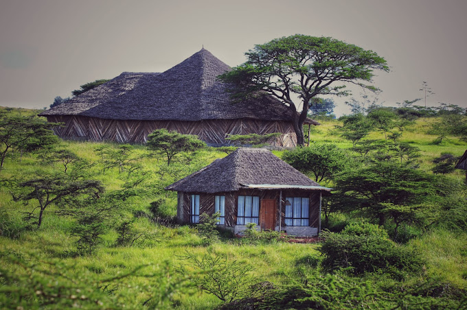 The olmeut lodge