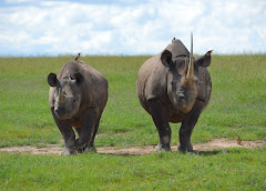 Ol Pejeta Conservancy