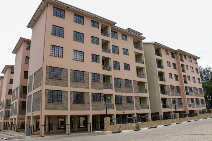 Riziki Homes