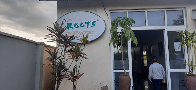 Spice Roots