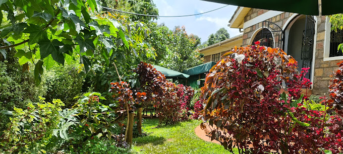 Turitu gardens