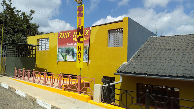 Zinc Hauz Platinum