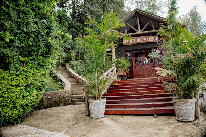 Malkia Trees Lodge