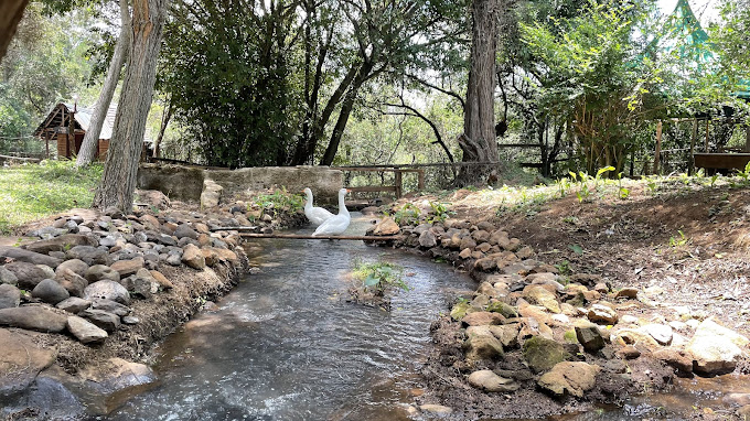 Timau River Lodge