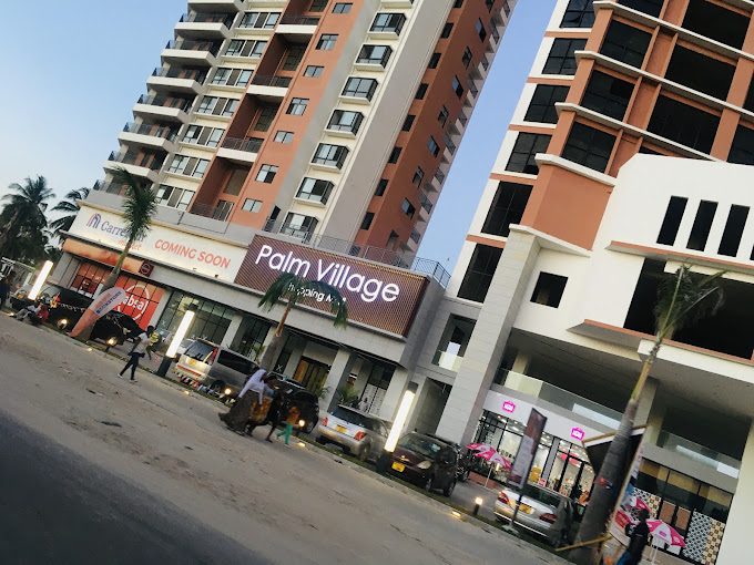 Palm Village mikocheni