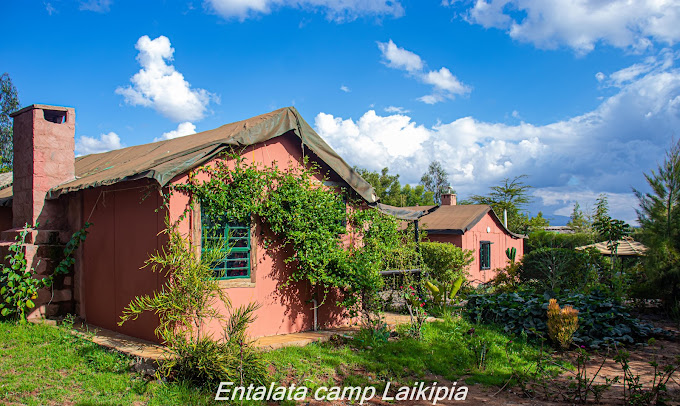 ENTALATA CAMP