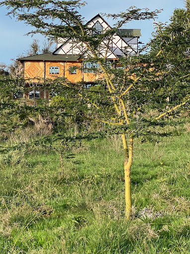 Earthship House, Timau