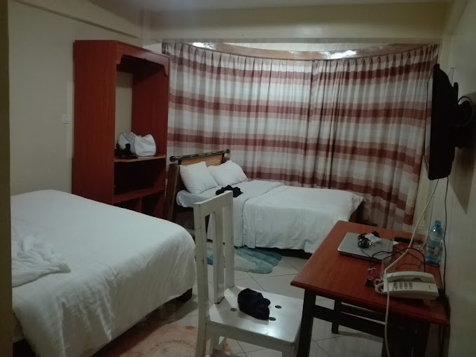 Elsa Hotel Meru
