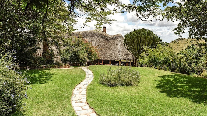 Borana Lodge