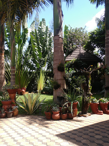 Korona House