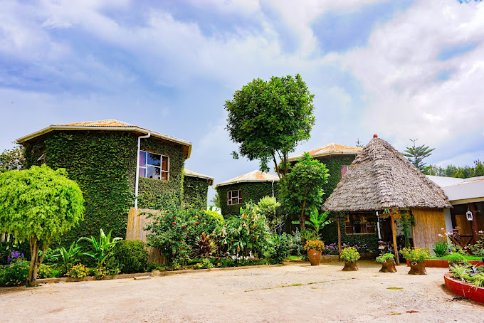 Dan Stam Hotel