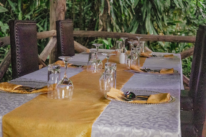 Malkia Trees Lodge