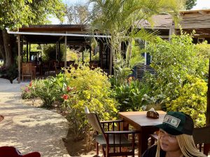Dom Collina Restaurant and Wine Bar