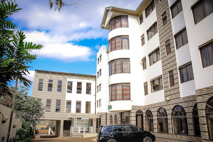 Elsa Hotel Meru