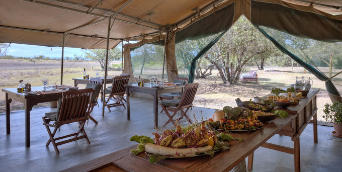 Kicheche Laikipia
