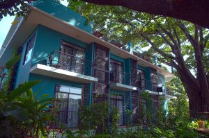 Fig Tree Residences
