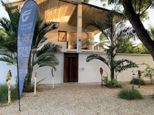 Forster Gallery