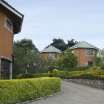 Freedom Lodge