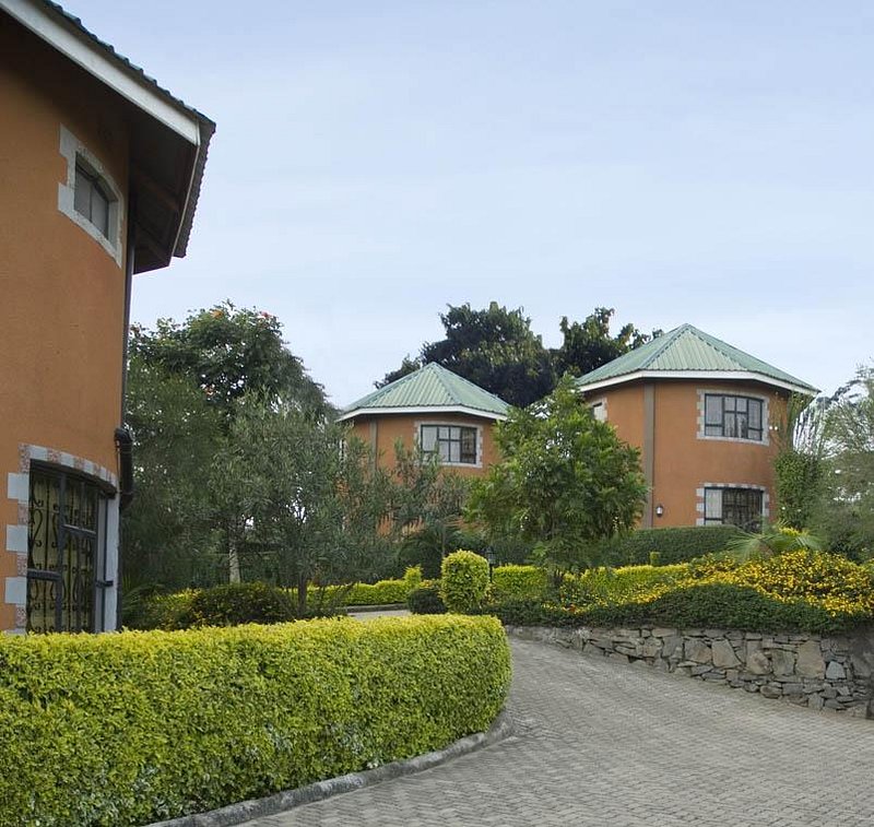 Freedom Lodge