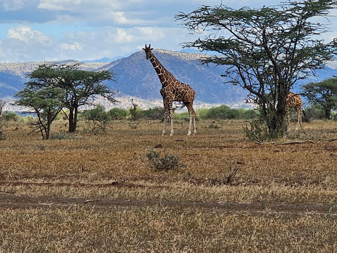 Tassia Lodge