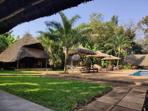 Honey Badger Lodge