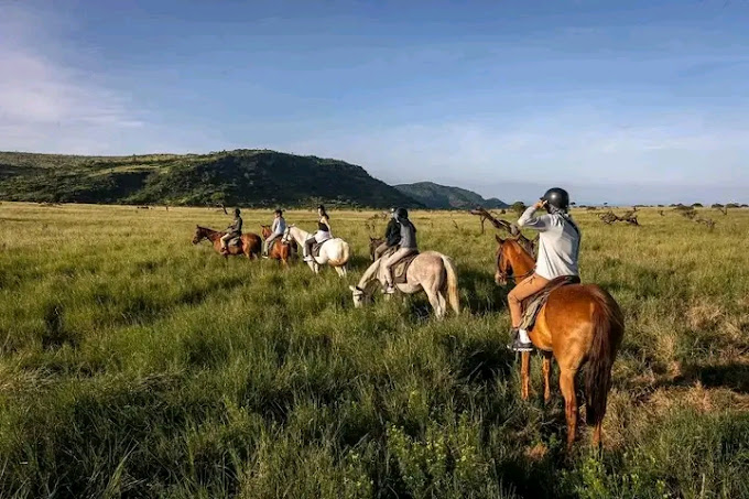 Lewa Safari Camp by Elewana