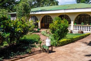 Kiwavi home