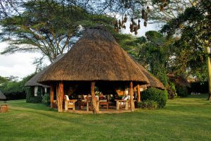 Lewa House