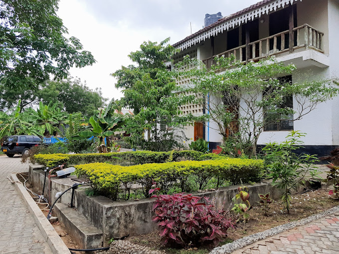 LifeLights hotel