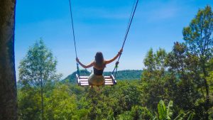 Makini Swing Adventures