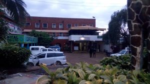Meru safari hotel