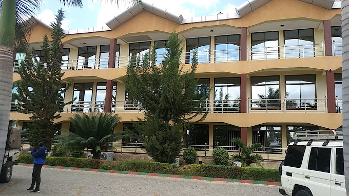 Morena Hotel