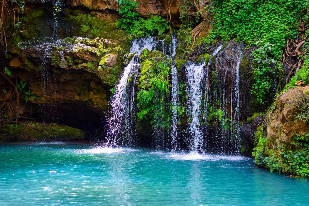 Ngare Ndare Forest Ecotourism