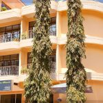 Nyumbani Hotels