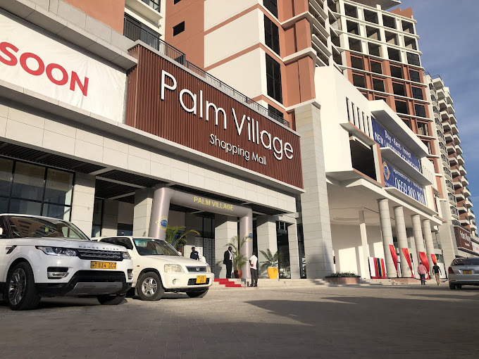 Palm Village mikocheni