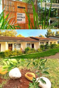 Riverside Villas Nanyuki