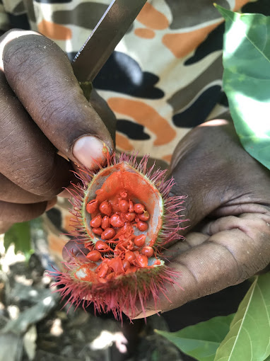 SISO SPICE FARM