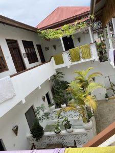 zLife Stone Town