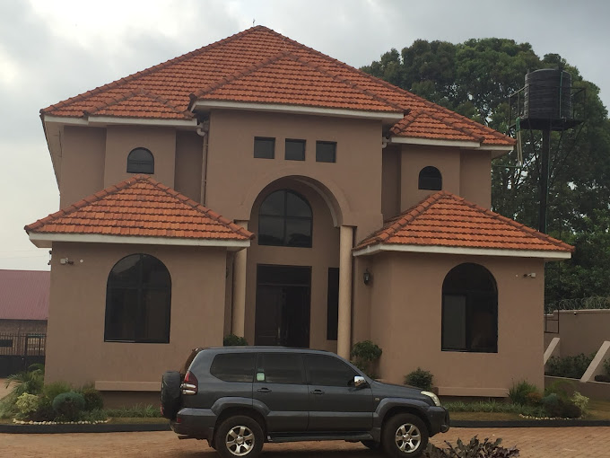 The Hive Guesthouse
