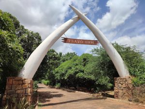 Tsavo Inn