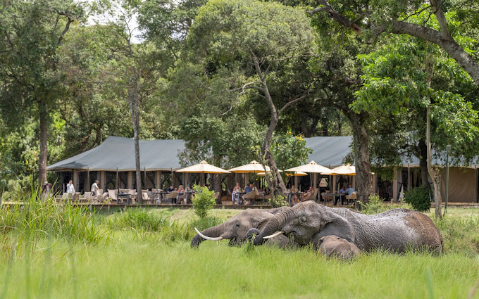 Little Governors’ Camp