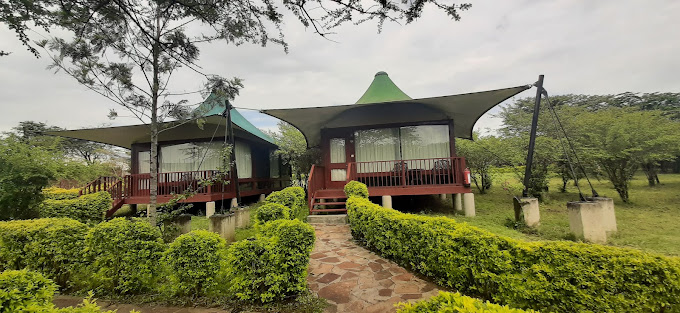 AA Lodge Masai Mara