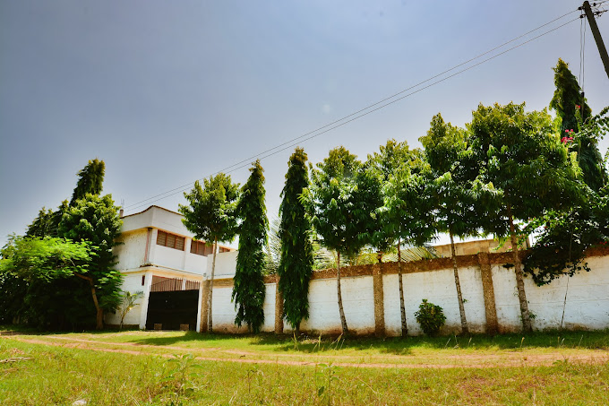 The Darad House