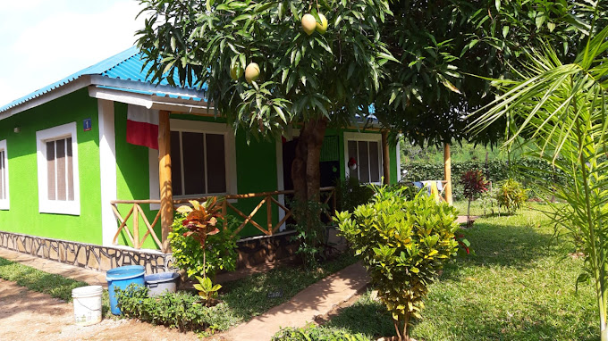 Mango Tree House 1
